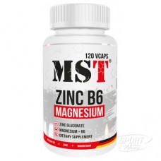 Цинк магний B6 , Zinc Magnesium B6 - 120 caps , MST (Германия) Цинк магний B6 , Zinc Magnesium B6 - 120 caps , MST (Германия)